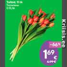 Tulbid, 11 tk
