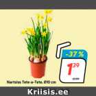 Nartsiss Tete-a-Tete, Ø10 cm