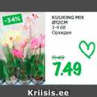 Магазин:Maksimarket, Konsum,Скидка:Орхидея