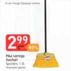 Pika varrega õuehari