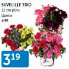 Allahindlus - SUVELILLE TRIO 