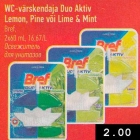 Allahindlus - WC - värskendaja Duo Aktiv Lemon, Pine või Lime & Mint 