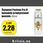 Магазин:Grossi,Скидка:Шампунь Pantene Pro-V  для сухих и поврежденных волос 250 мл