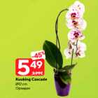 Kuuking СascadeØ12 cm