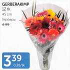 GERBERAKIMP 12 tk, 45 cm