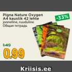 Pigna Nature Oxygen
A4 kaustik 42 lehte