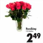 Roosikimp