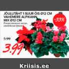 JÕULUTÄHT 1 SUUR ÕIS d12 CM VAHEMERE ALPIKANN MIX d12 CM