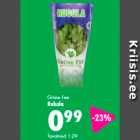 Grüne Fee Rukola