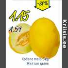Желтая дыня