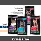 Allahindlus - Kuiv kassitoit favorit