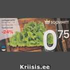 Allahindlus - Lehtsalat pots Grüne Fee, 1 tk