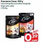 Корм для собак