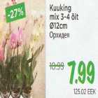 Allahindlus - Kuuking mix