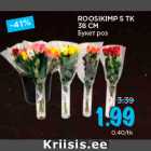 ROOSIKIMP 5 TK
38 CM