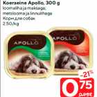 Allahindlus - Koeraeine Apollo, 300 g

