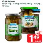 Kurk Salvest

