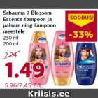 Schauma 7 Blossom
Essence šampoon ja
palsam ning šampoon
meestele