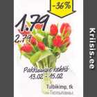 Tulbikimp, tk