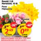 Roosid, 5 tk; Nartsissid, 10 tk