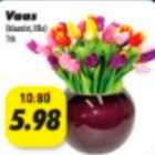 Vaas