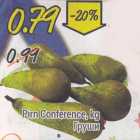 Pirn Conference, kg