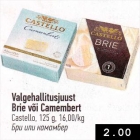 Valgehallitusjuust Brie või Camembert
