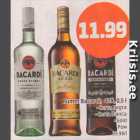 Rumm Bacardi
