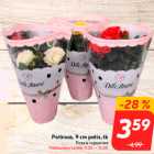 Potiroos, 9 cm potis, tk