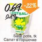 Магазин:Säästumarket,Скидка:Салат в горшочке