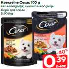 Корм для собак