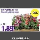 AIA POTINELK Ø 10cm