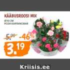 Магазин:Maksimarket, Konsum,Скидка:Роза карликовая