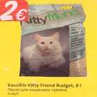 Allahindlus - Kassiliiv Kitty Friend Budget