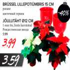 Brüssel lillepotiümbris, Jõulutäht