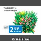 Allahindlus - TULBIKIMP 
7 tk