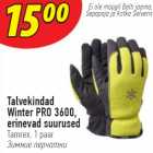 Talvekindad