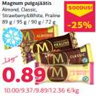 Magnum pulgajäätis