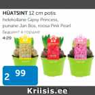 HÜATSINT 12  cm potis