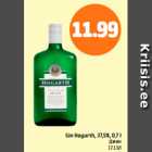 Gin Hogarth