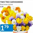 TWIX TRIO SARVKANNIKE