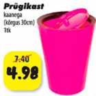 Prügikast kaanega (kõrgus 30cm) 1tk