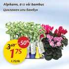 Alpikann, d-12 või bambus