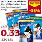 Felix Fantastic kiisueine