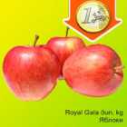 Allahindlus - Royal Gala õun