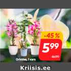 Магазин:Hüper Rimi, Rimi, Mini Rimi,Скидка:Орхидея, 1 стебель