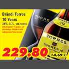 Brändi Torres 10 years