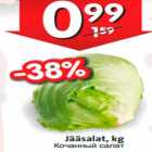 Jääsalat