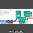 Mähkmed - PAMPERS MEGA MINI MÄHKMED