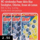 Allahindlus - WC-värskendus Power Aktiv Blue
Eucalyptus, Chlorine, Ocean või Lemon 